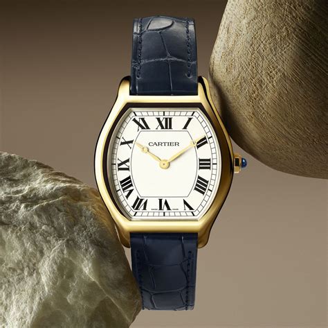 cartier tortue new|cartier tortue watch price.